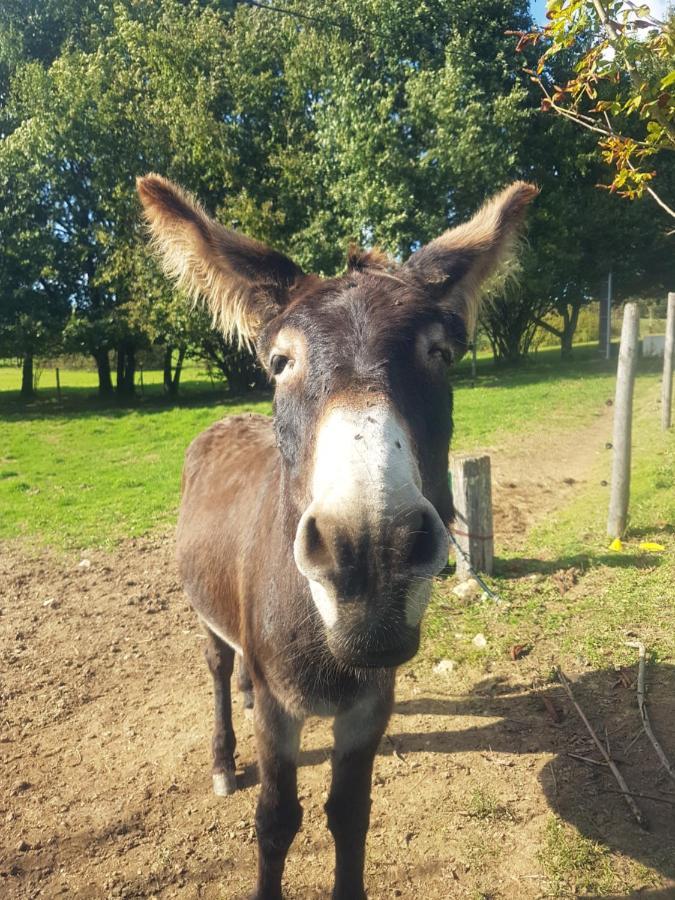 Roulotte A Sapharey Hotel Sarrazac  Eksteriør billede